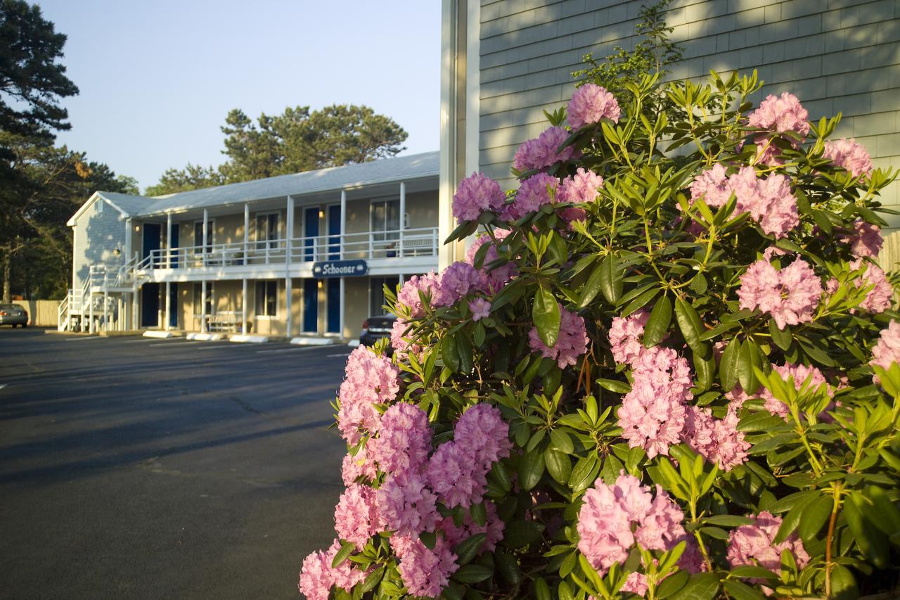 Southfleet Motor Inn Wellfleet Exteriér fotografie